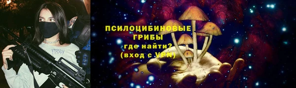 гидра Алексин