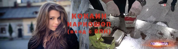 гидра Алексин