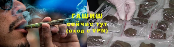 гидра Алексин