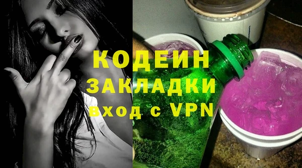 стаф Осинники