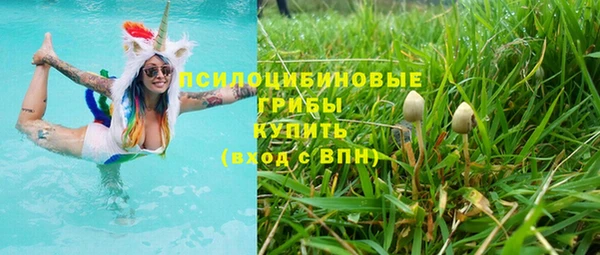 гидропоника Алексеевка
