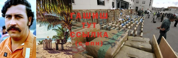 гидра Алексин
