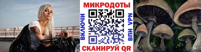 Галлюциногенные грибы мицелий Белорецк